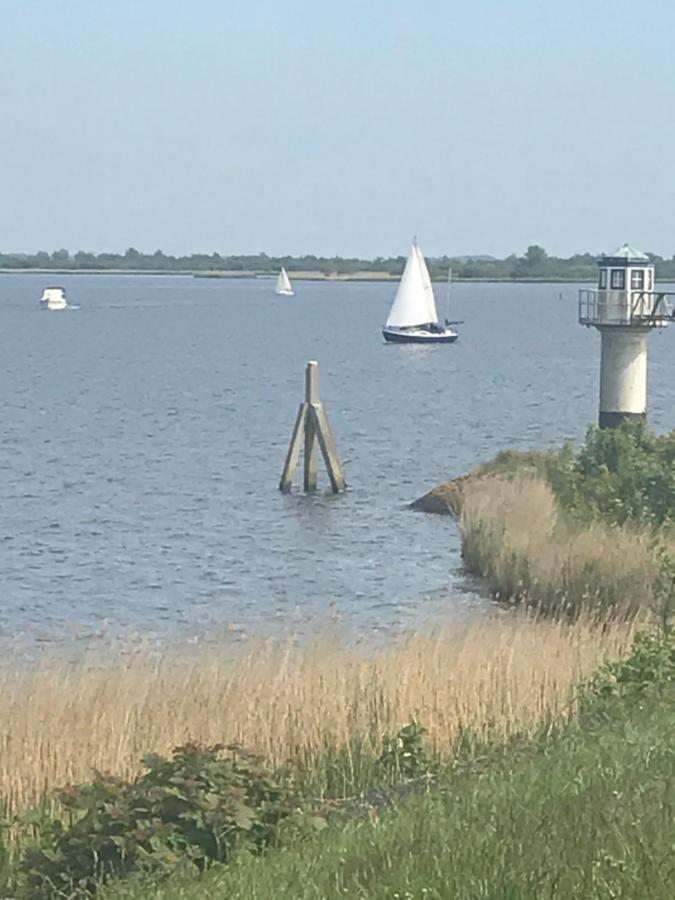 De Lauwersmeer Vogel Mit Eingezaeuntem Garten Anjum ภายนอก รูปภาพ
